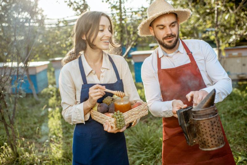 13 Homemade Mead Recipes: The Best of the Best