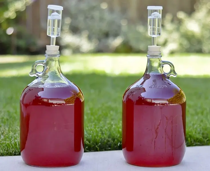 13 Homemade Mead Recipes: The Best of the Best