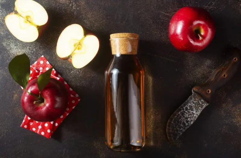 14 Homemade Apple Cider Recipes: The Best of the Best