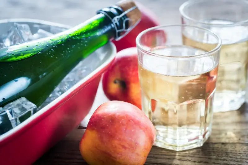 14 Homemade Apple Cider Recipes: The Best of the Best