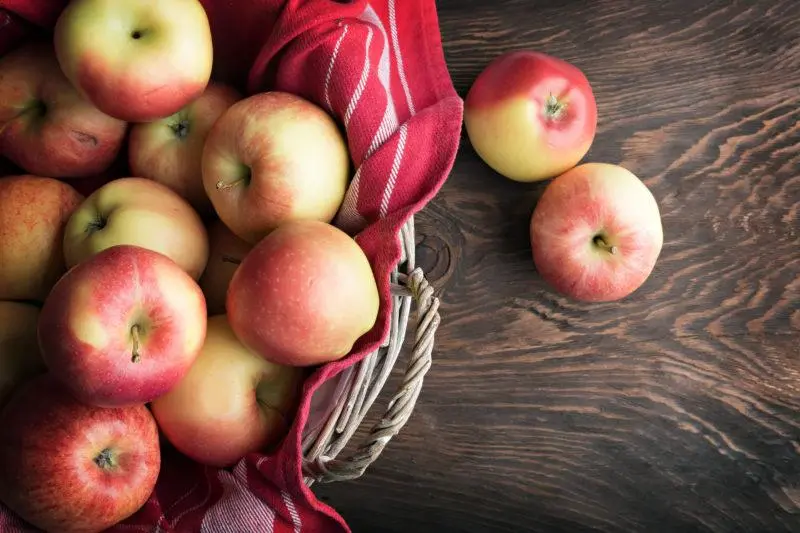 14 Homemade Apple Cider Recipes: The Best of the Best