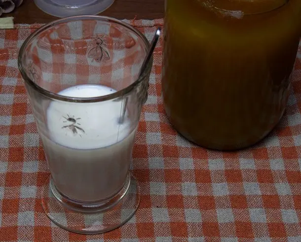 3 options for combining vodka with milk