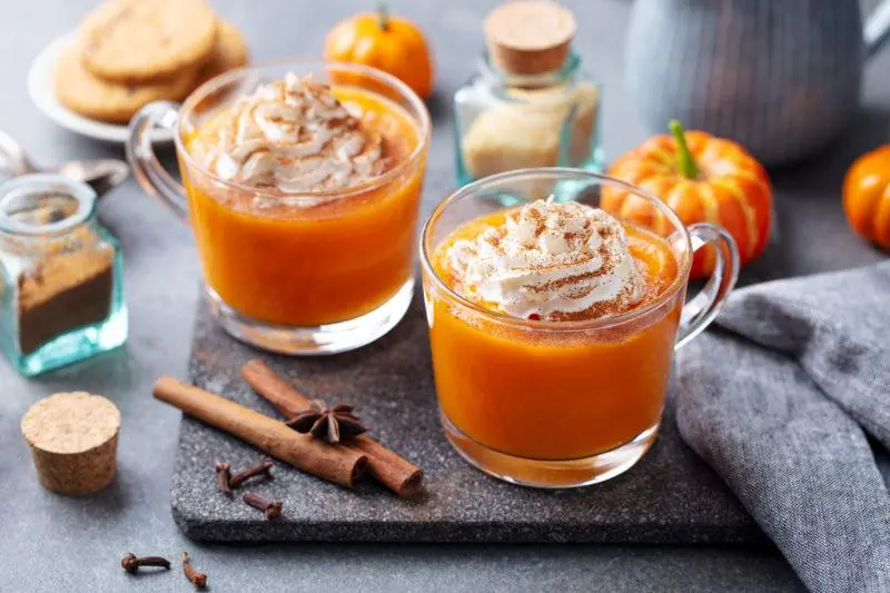 3 recipes for pumpkin liqueurs and tinctures with vodka or alcohol