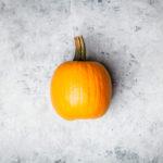 3 recipes for pumpkin liqueurs and tinctures with vodka or alcohol