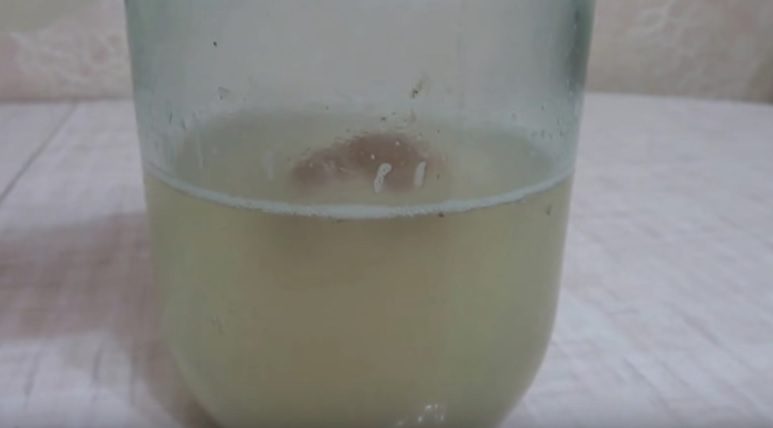 3 Ways to Make Homemade Wine Yeast