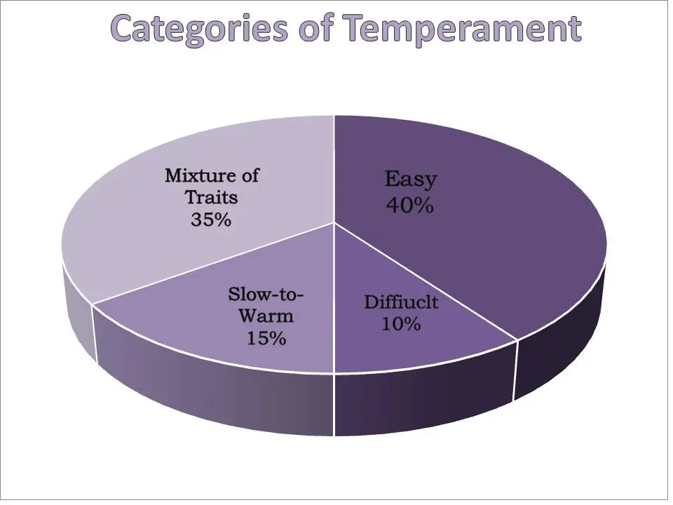 4 types of children&#8217;s temperament