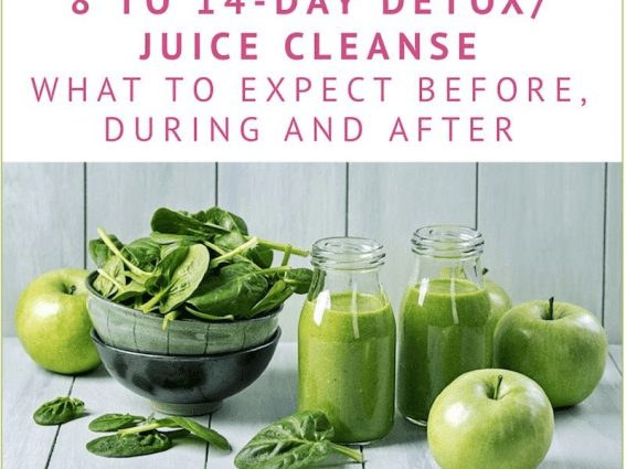 8 detox rules