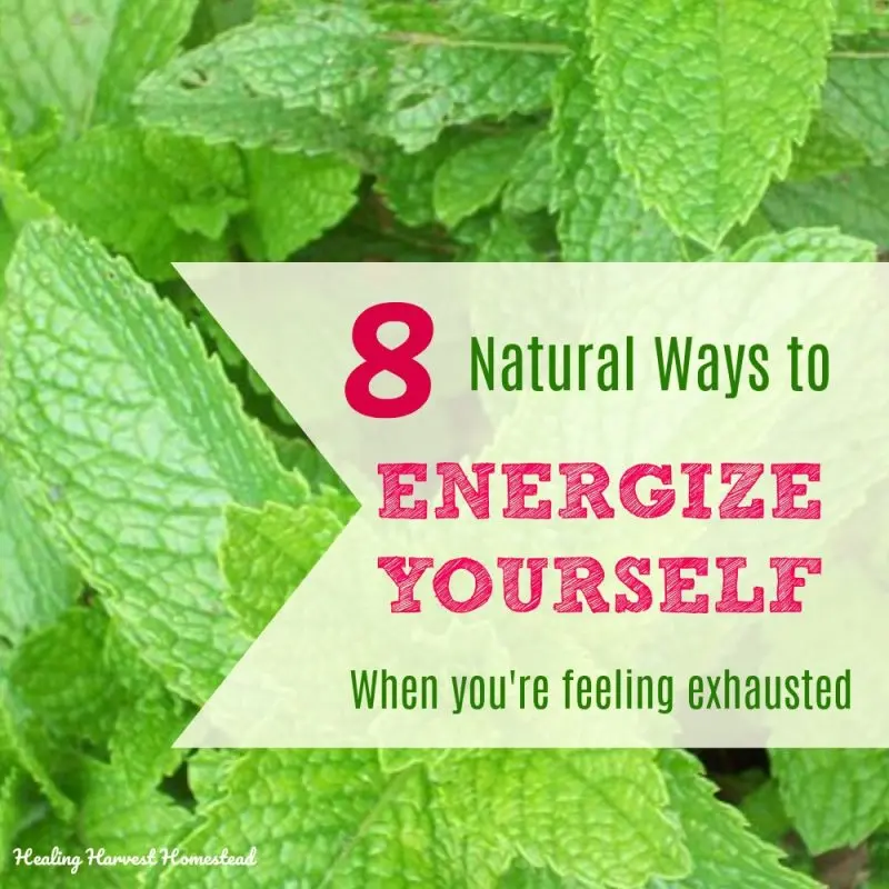 8 Ways to Energize Nature