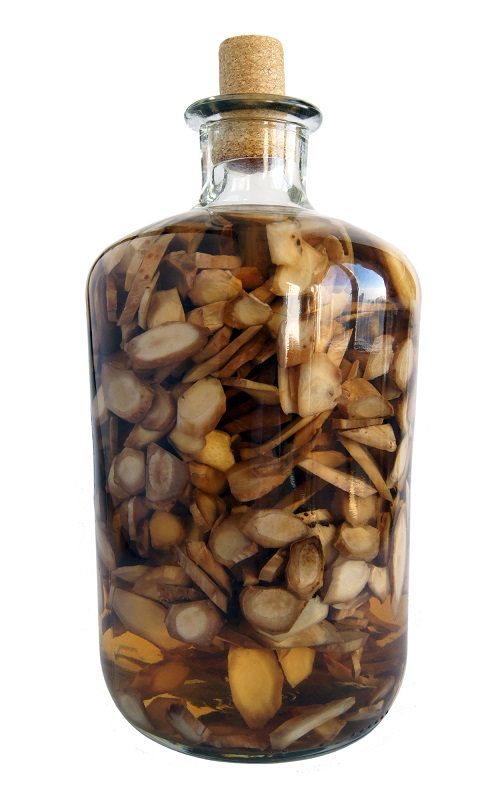 Alcohol tincture of calamus in folk medicine