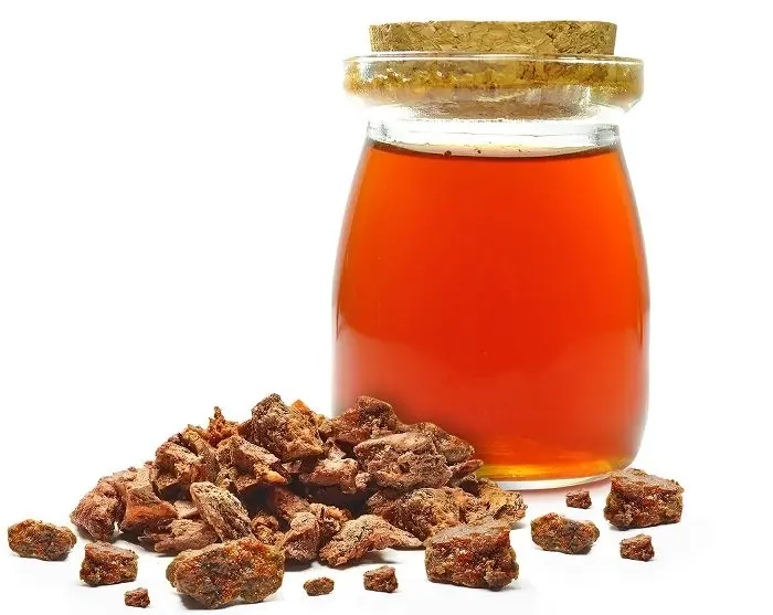 Alcohol tincture of propolis for treatment and prevention