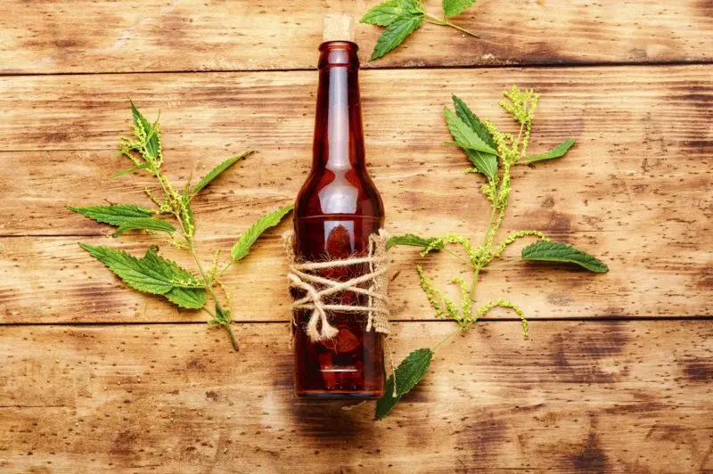 Alcohol tinctures 44 best recipes from everything in the world