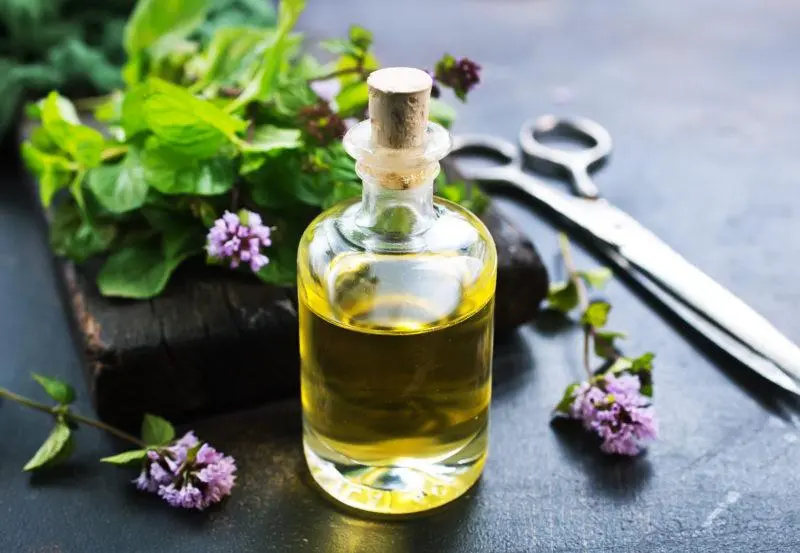 Alcohol tinctures 44 best recipes from everything in the world