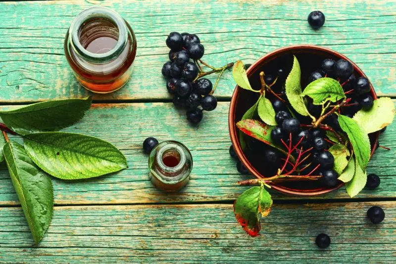 Alcohol tinctures 44 best recipes from everything in the world