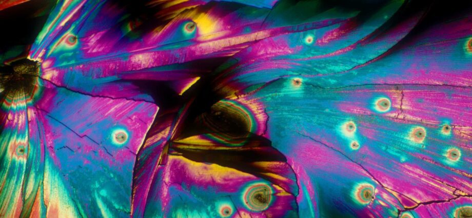 Alcohol under the microscope: 22 photos from Bevshots