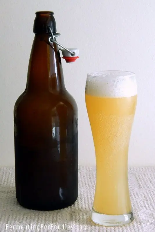 Alcoholic kvass: 5 recipes at home