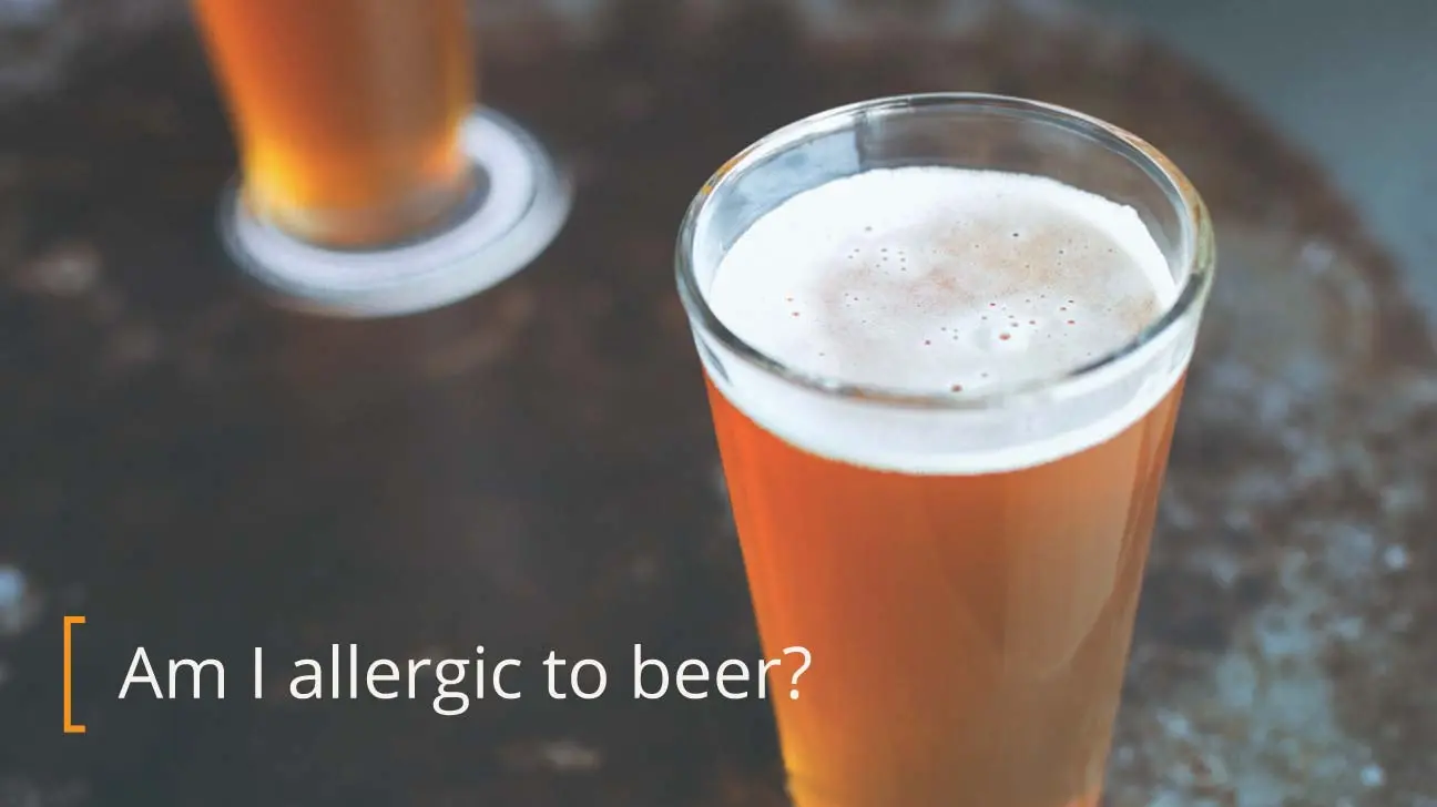 Allergy to beer