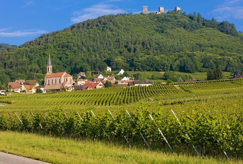 Alsace wines &#8211; French-German heritage