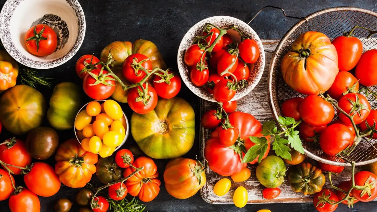 Any tomatoes from the store or even tomato paste will do: I share my grandfather&#8217;s recipe for tomato moonshine and its result