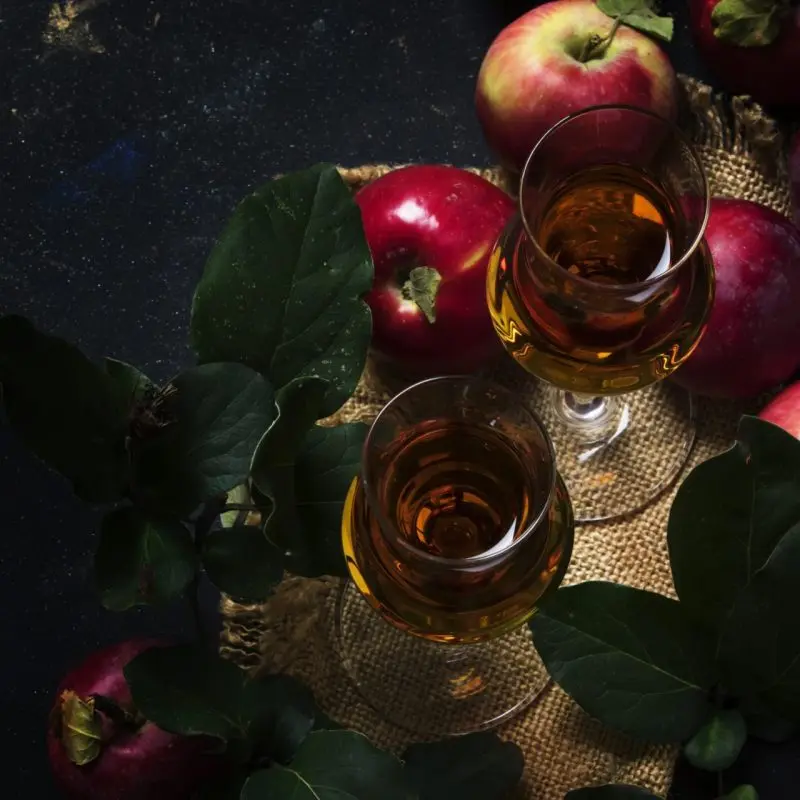 Apple tincture at home &#8211; recipes for vodka, alcohol and others like it