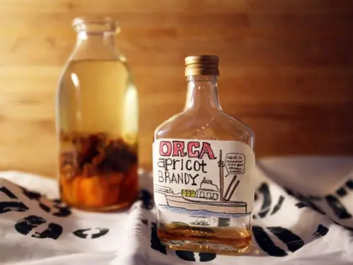 Apricot brandy: 2 recipes at home