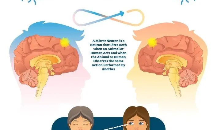 Are Mirror Neurons the Key to Empathy?