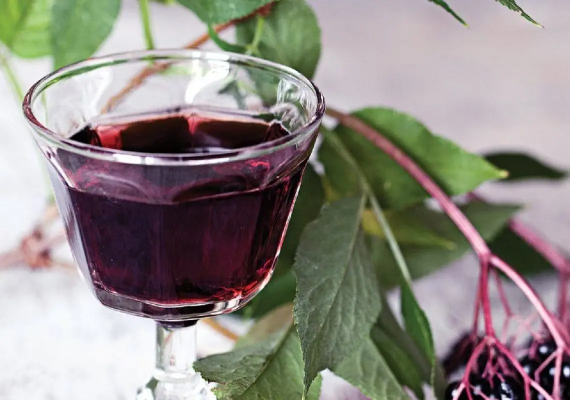 Aronia liqueur: 3 recipes at home