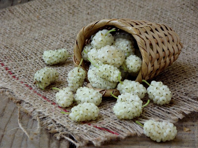 Artsakh &#8211; mulberry vodka from Armenia