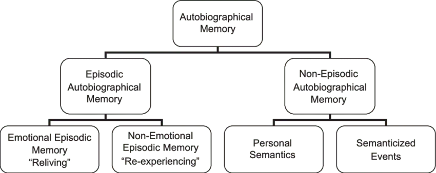 autobiographical memory deficit