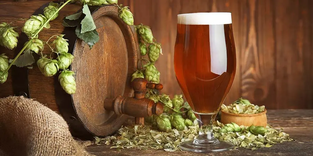 Barley beer recipe