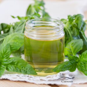 Basil syrup: 2 recipes at home