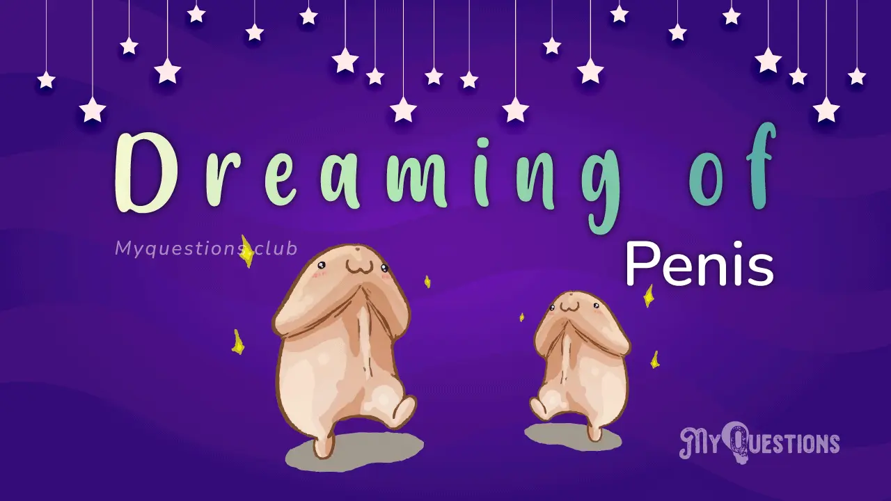 Big penis &#8211; the dream of women or men?