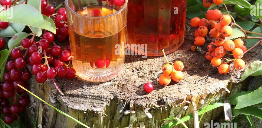 Bird cherry tinctures on vodka, alcohol and moonshine &#8211; 4 recipes