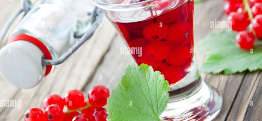 Black and red currant liqueur &#8211; 5 summer recipes