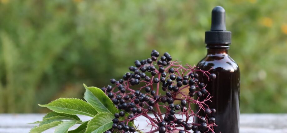 Black elderberry tinctures at home &#8211; 4 recipes