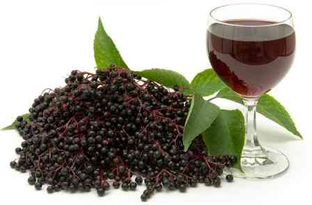 Black elderberry wine recipes &#8211; simple and not very