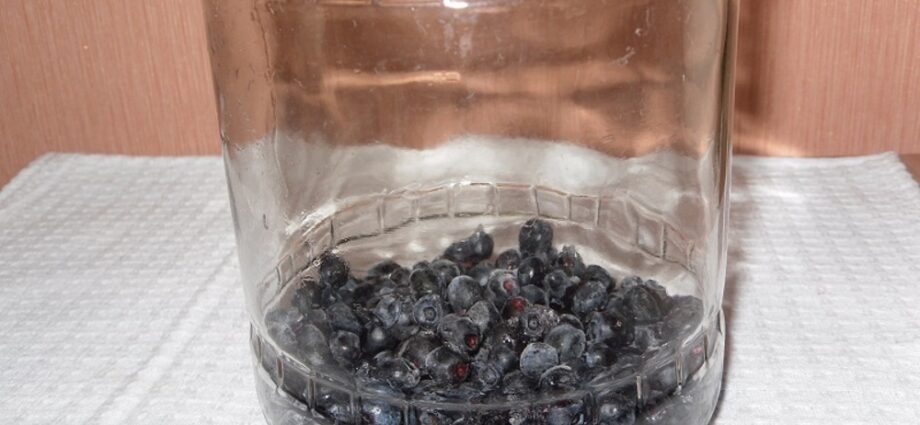 Blueberry tincture: 4 recipes at home