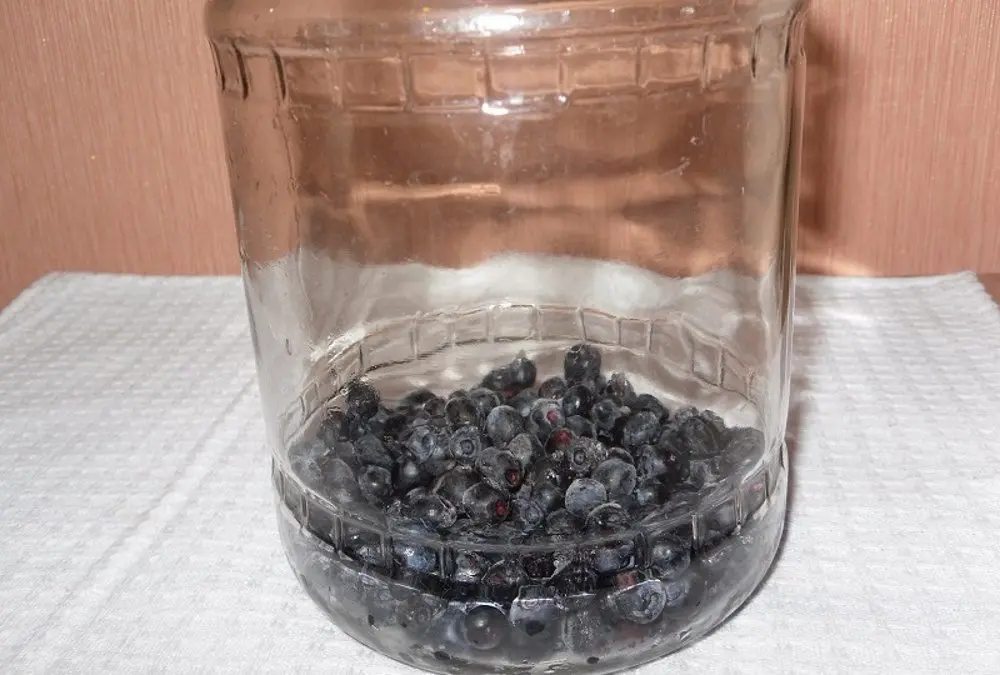 Blueberry tincture: 4 recipes at home