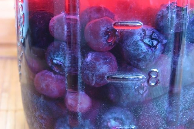 Blueberry tincture on vodka at home &#8211; a universal recipe