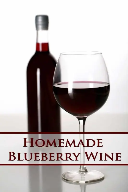 Blueberry wine: 2 recipes at home