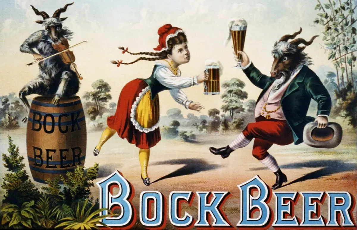 Bock beer (Bockbier, Bock) &#8211; German &#8220;goat&#8221; beer of high strength