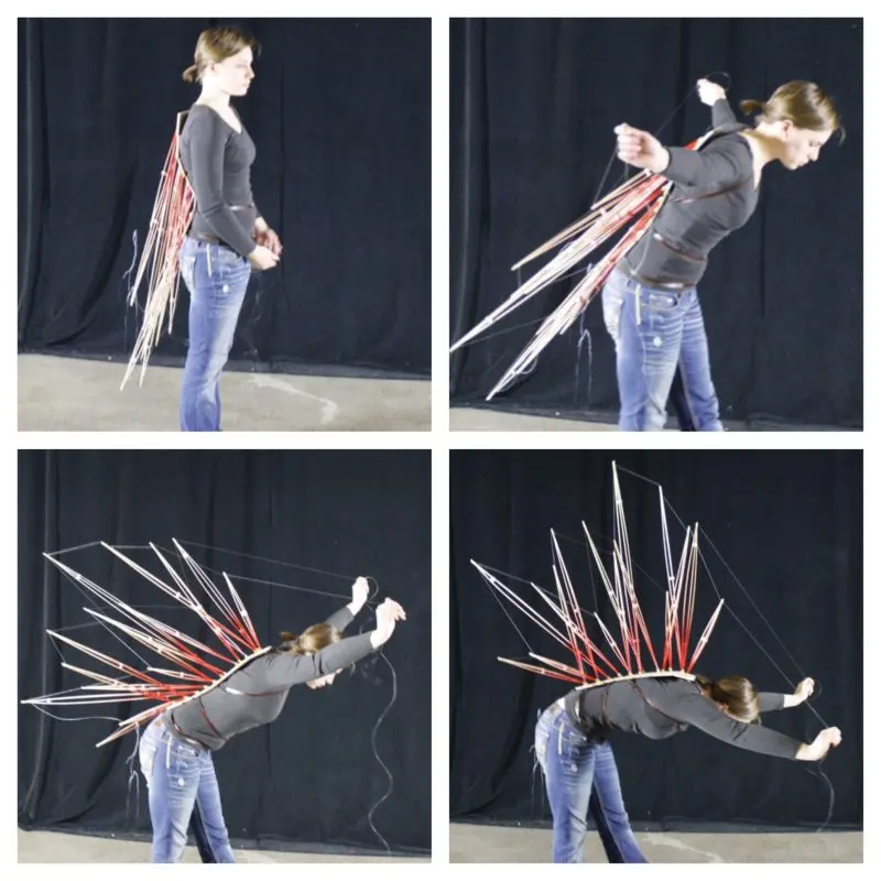 body extension
