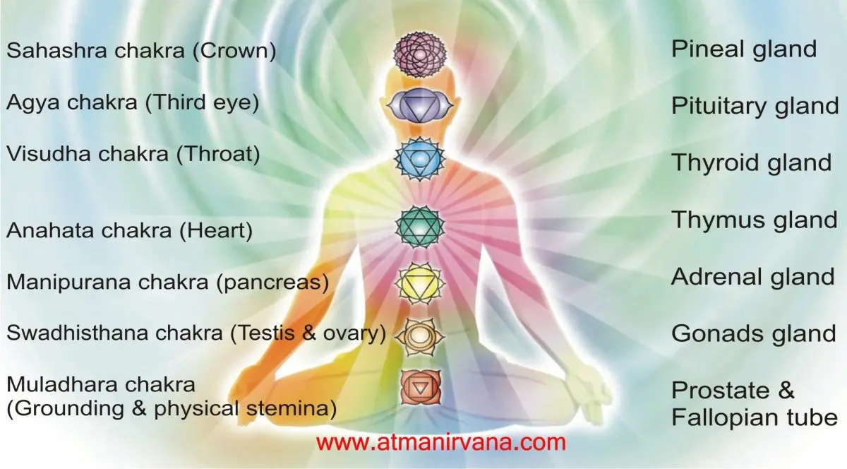 Body Secrets: Chakras