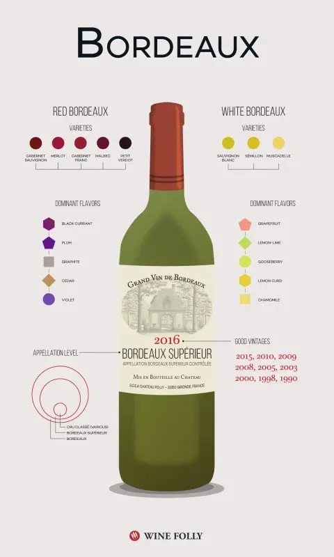 Bordeaux wine: classification, taste review, how to drink + famous brands