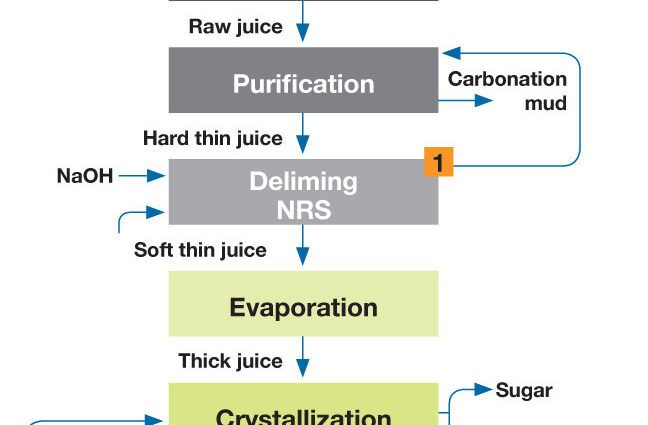 Braga from sugar beet and distillation technology