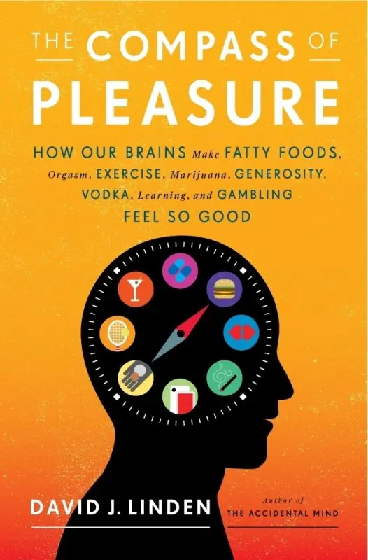 Brain and Pleasure: Why We Like Fatty Foods, Sex and Sports