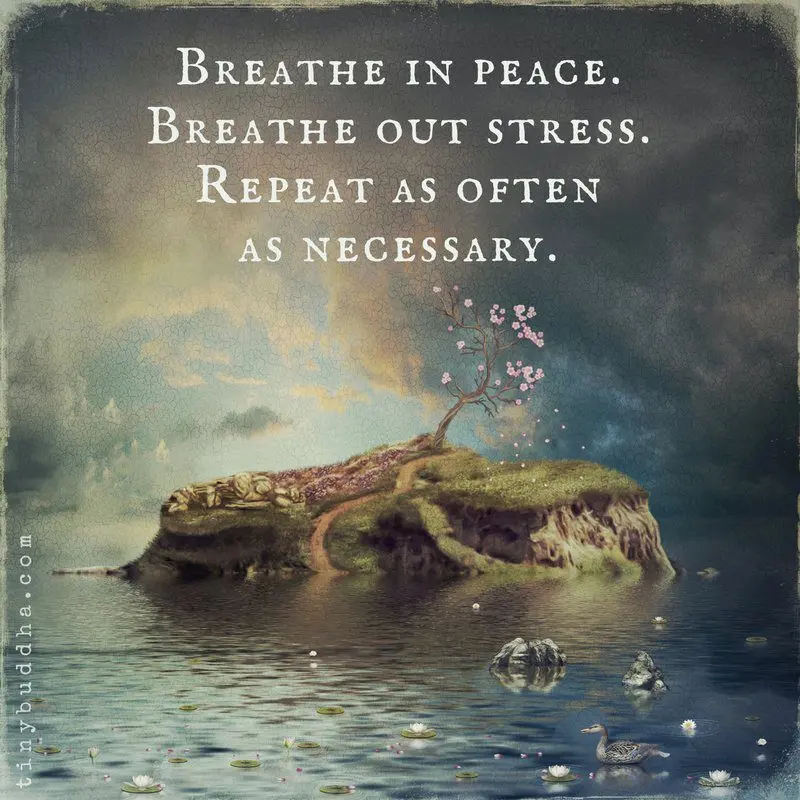 Breathe in&#8230; and breathe in peace