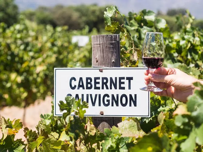 Cabernet Sauvignon is a wine that everyone can hear