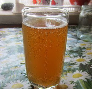 Carbonated kvass from chicory with dry yeast