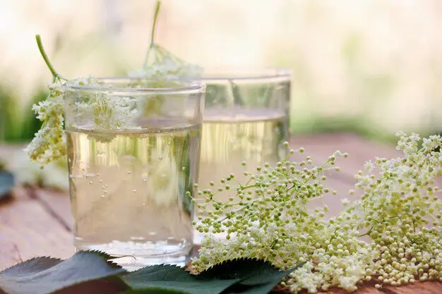 Carbonated kvass from elderberry flowers