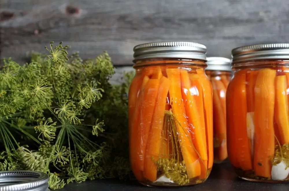 Carrot tincture with dill